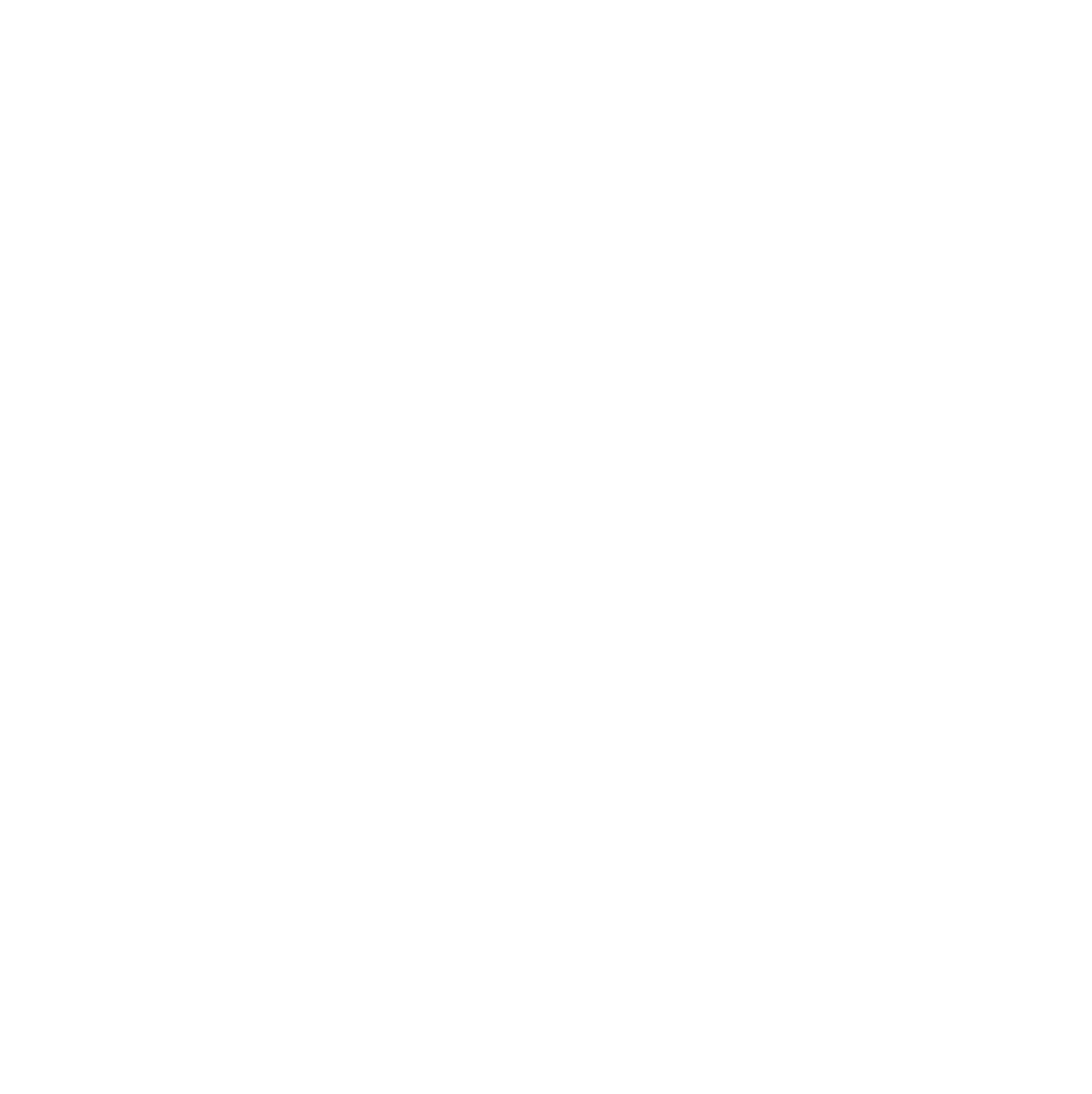Bt Logo Whte