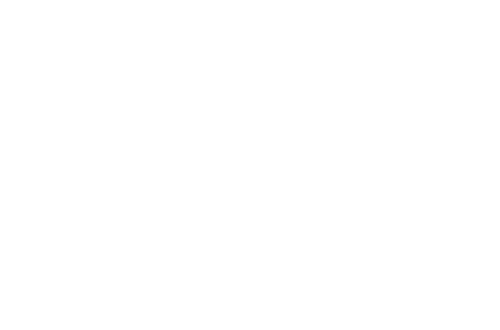 Intel Logo White