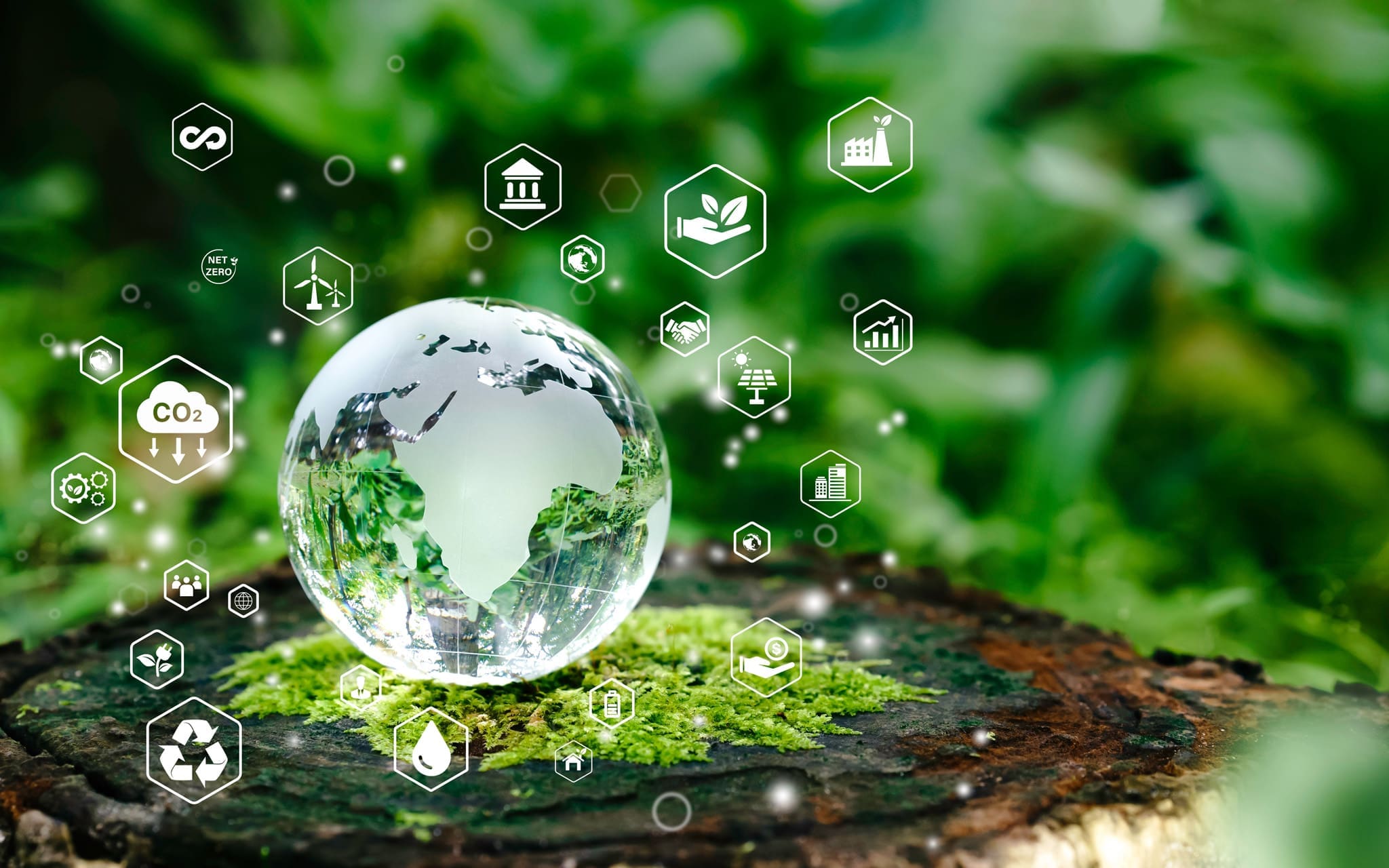 Glass,globe,in,green,forest,with,the,icon,environment,of